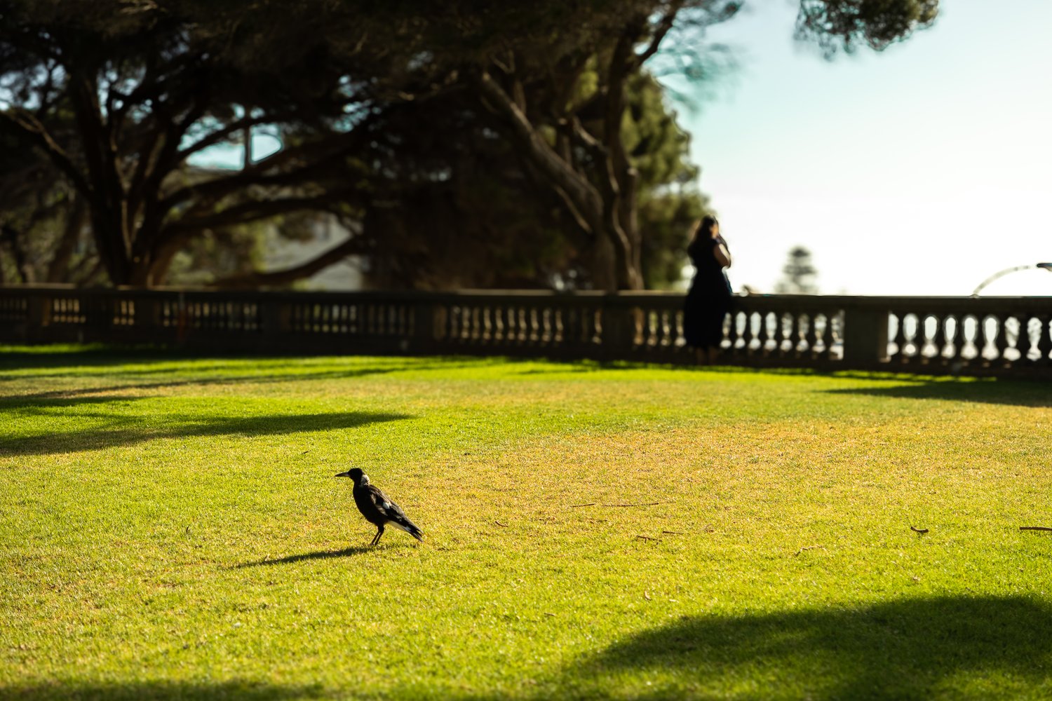 Photography in Australia